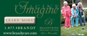 Brandywine300x125